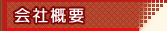 ЊTv